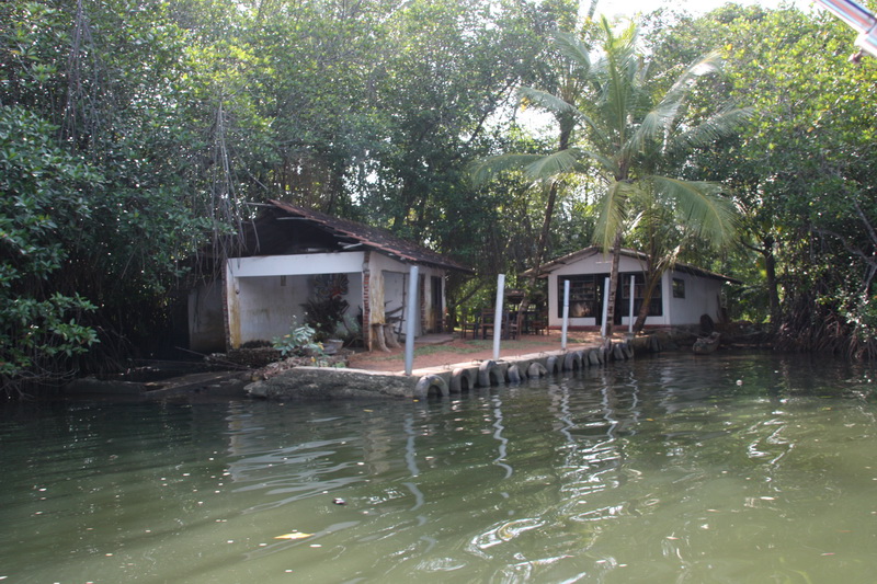 Sri Lanka, Colombo, River safari